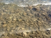 2012-08-06-17-59-05