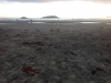 Chesterman\'s Beach